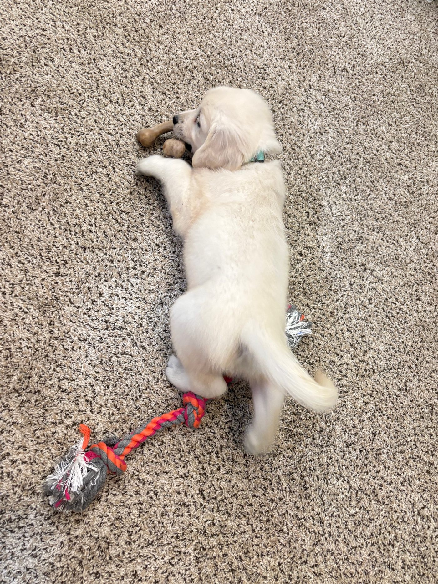 Luka at 2 months