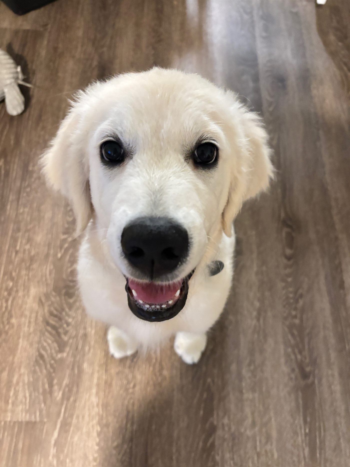 Luka at 3 months