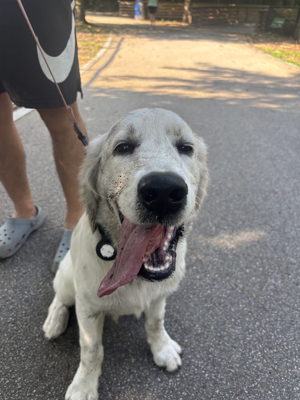 Luka at 5 months