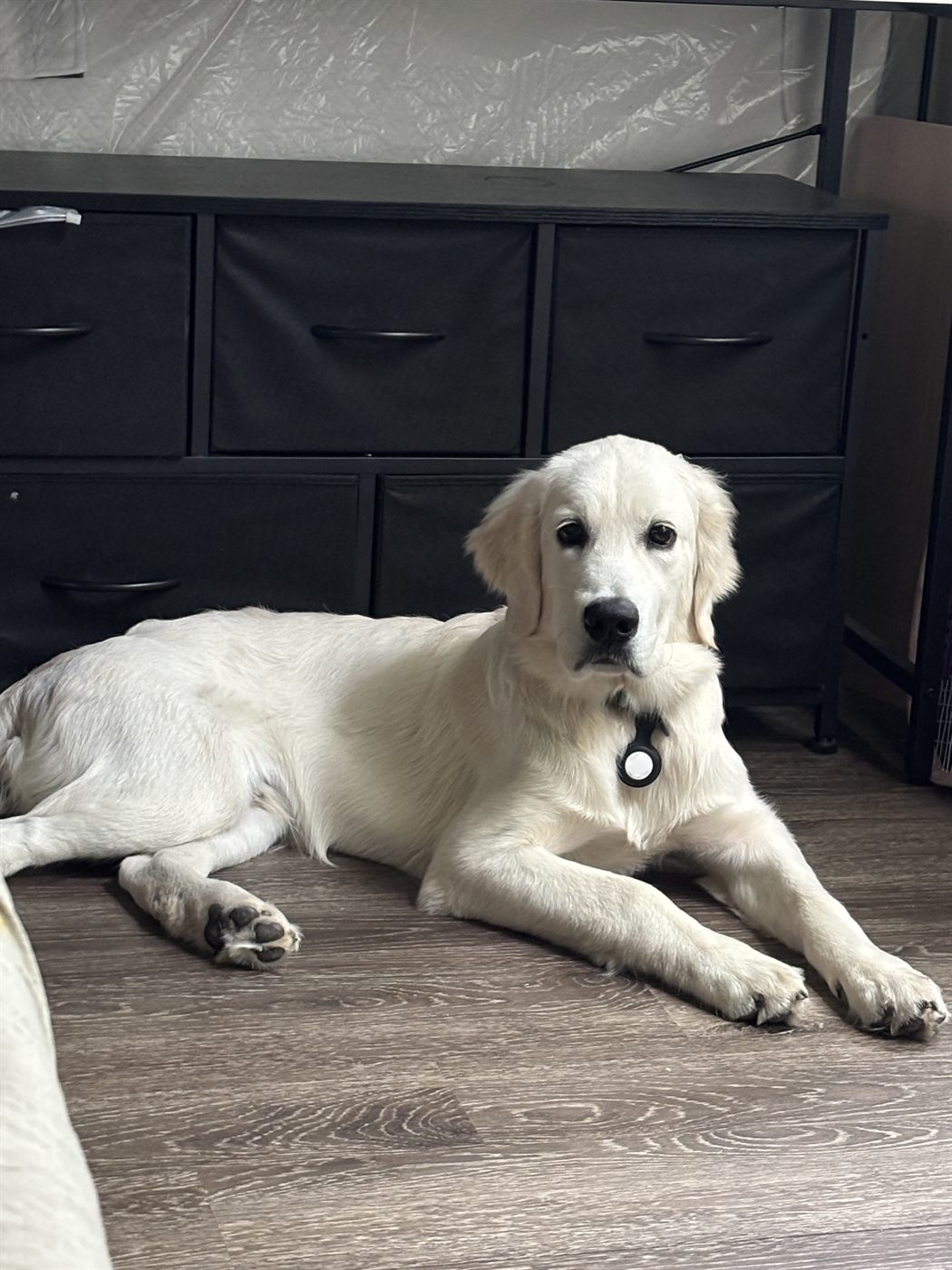 Luka at 6 months