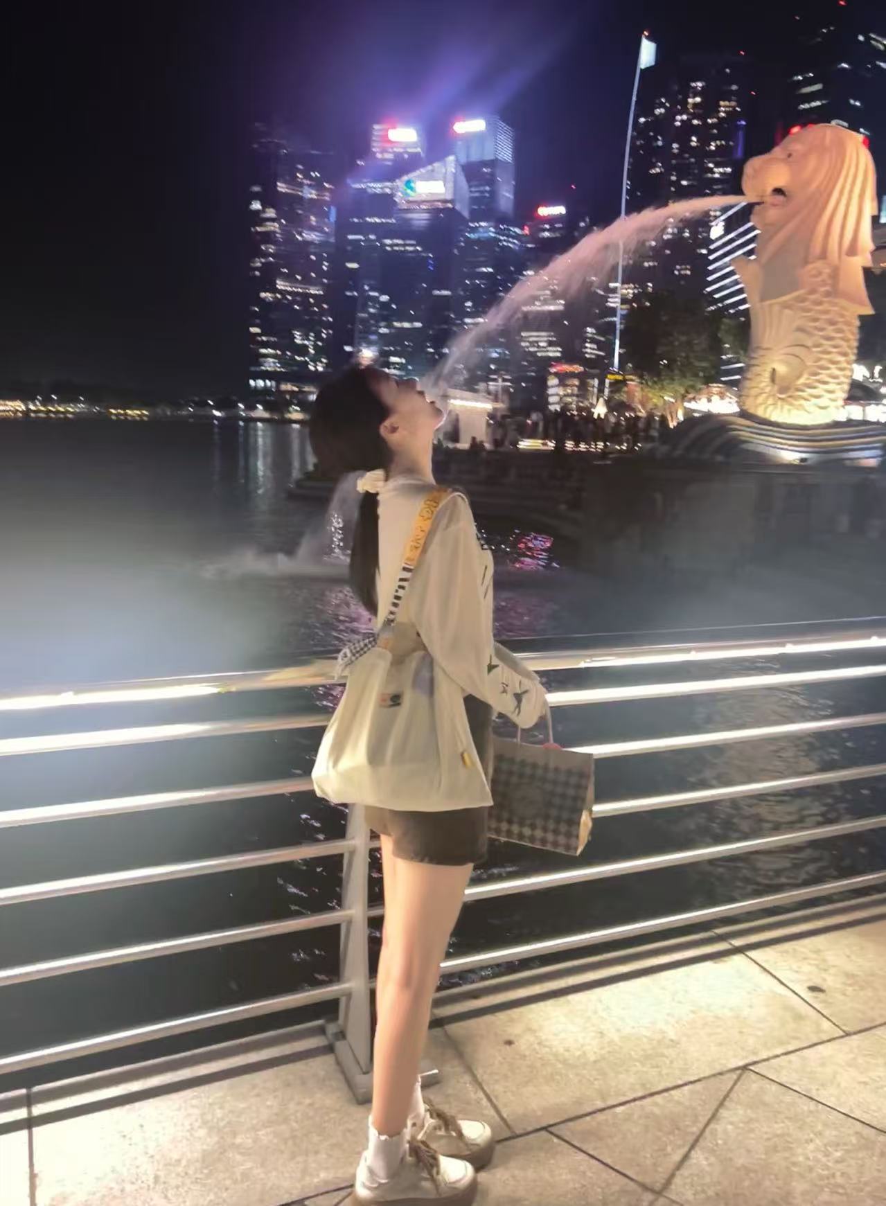 Singapore Travel 2